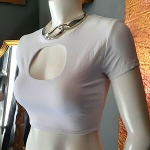 NWT Zara Cropped Cutout Top